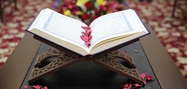 عناوين رسائل ماجستير ودكتوراة في التشريعات الإسلامية